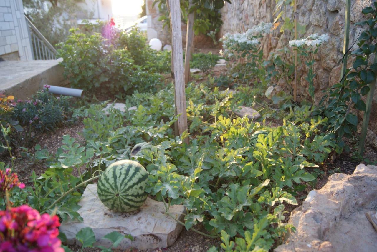 Milo Apartament Vuno